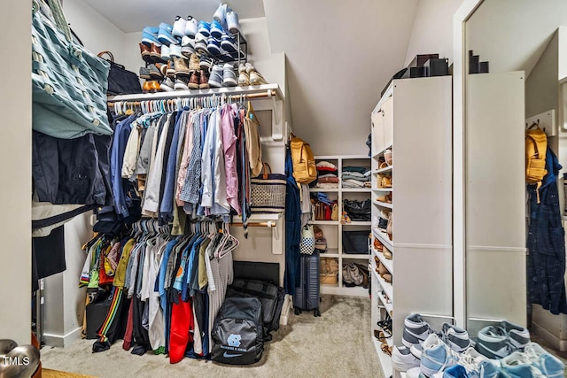 42 Juneberry Dr, Chapel Hill, NC 27516 - walk in closet featuring carpet flooring