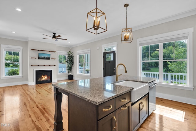 5107 Overhill St, Raleigh, NC 27603 - kitchen featuring light wood finished floors, decorative light fixtures, stainless steel dishwasher, a glass covered fireplace, and crown molding