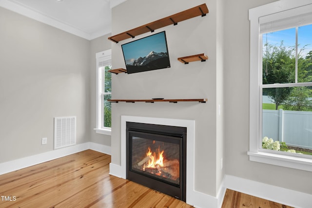 5107 Overhill St, Raleigh, NC 27603 - unfurnished living room featuring healthy amount of natural light, a glass covered fireplace, and wood finished floors