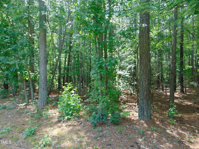 0 Shady Oak Rd, Roxboro, NC 27574