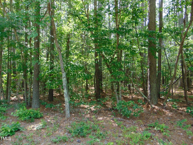0 Shady Oak Rd, Roxboro, NC 27574
