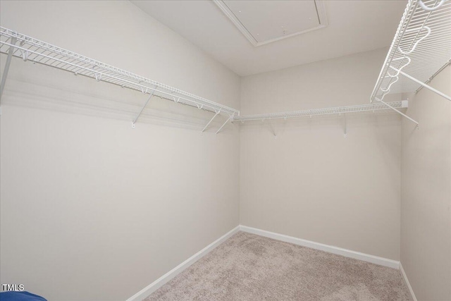 1416 Southpoint Trl, Durham, NC 27713 - spacious closet with carpet and attic access