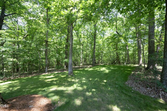 5464 Bass Mountain Rd, Snow Camp, NC 27349 - photo 40