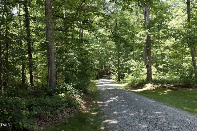 5464 Bass Mountain Rd, Snow Camp, NC 27349 - photo 48
