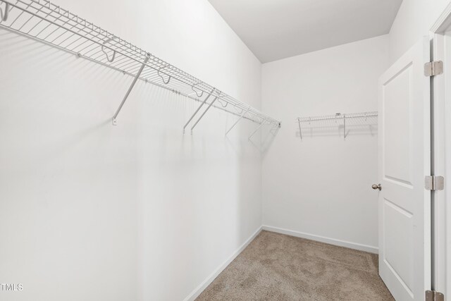 202 E Painted Way, Clayton, NC 27527 - spacious closet with carpet floors