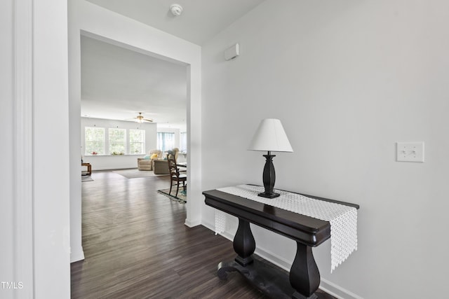 202 E Painted Way, Clayton, NC 27527 - hall featuring dark wood-type flooring and baseboards
