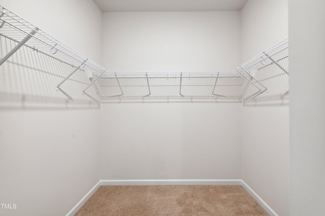 248 Hawksmoore Ln, Lillington, NC 27546 - spacious closet with light colored carpet