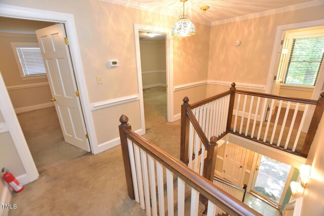 2708 Coleberry Trl, Rocky Mount, NC 27804 - stairway featuring carpet, ornamental molding, and a chandelier