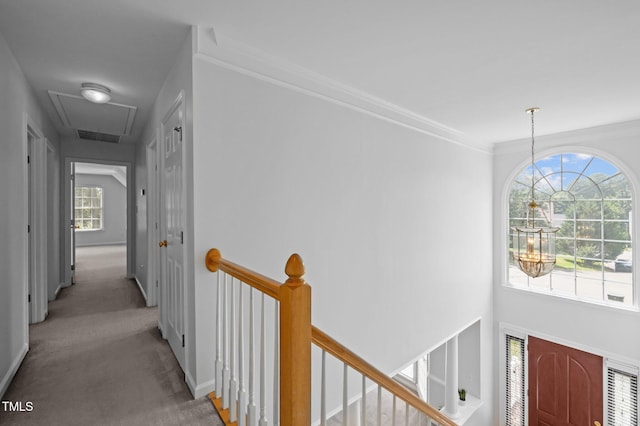 8 Summertime Ct, Durham, NC 27707 - hall featuring attic access, an upstairs landing, carpet floors, crown molding, and a chandelier