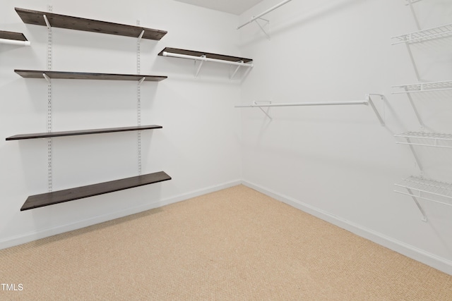 613 Penncross Dr, Raleigh, NC 27610 - spacious closet with carpet floors