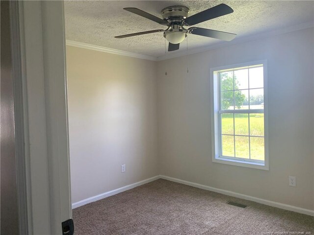 17340 Sneads Grove Rd, Laurinburg, NC 28352 - photo 10