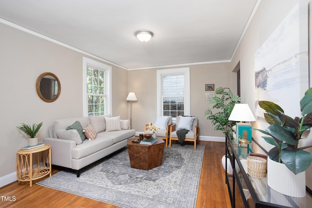 2423 Farthing St, Durham, NC 27704 - living room with crown molding, plenty of natural light, and wood finished floors