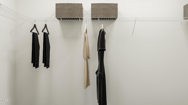 221 Carova Bnd, Apex, NC 27539 - view of walk in closet