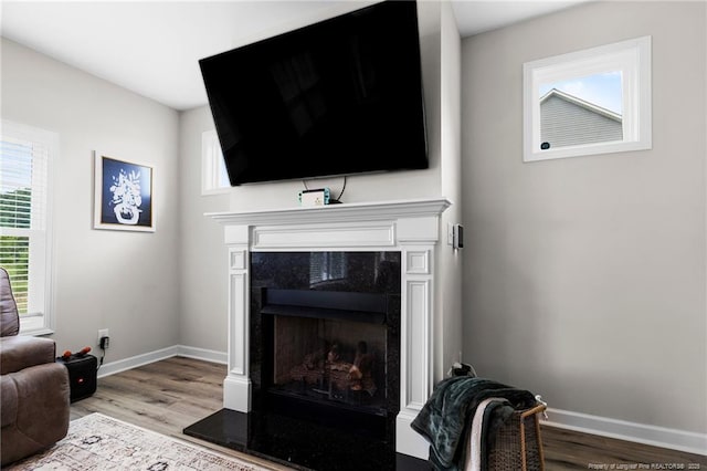 3902 Standardbred Dr, Hope Mills, NC 28348 - detailed view of wood finished floors and a fireplace with raised hearth