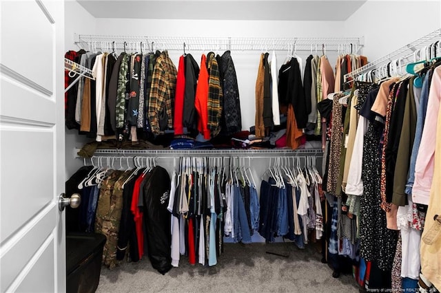 3902 Standardbred Dr, Hope Mills, NC 28348 - walk in closet with carpet