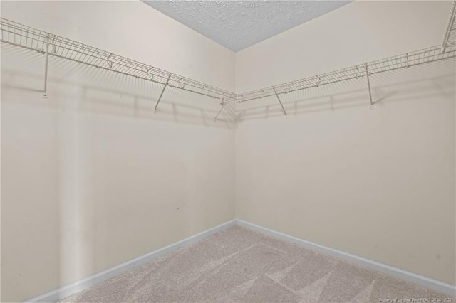 19 Fifty Caliber Dr, Broadway, NC 27505 - photo 20