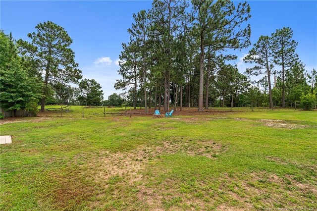 19 Fifty Caliber Dr, Broadway, NC 27505 - photo 40