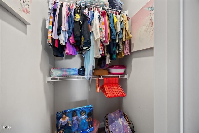 601 Richlands Cliff Dr, Youngsville, NC 27596 - view of walk in closet