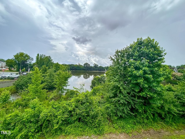 124 Sugar Run Dr Unit 11, Fuquay Varina, NC 27526 - water view