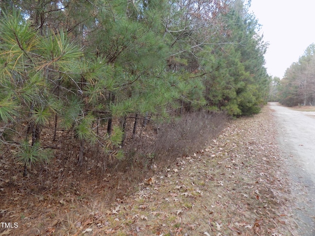 50 Green Pastures Rd, Louisburg, NC 27549 - photo 2