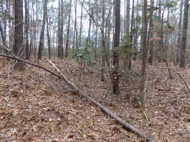 50 Green Pastures Rd, Louisburg, NC 27549 - photo 4