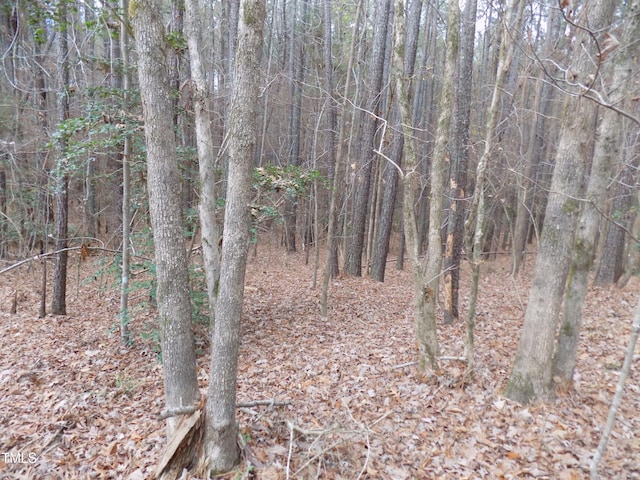50 Green Pastures Rd, Louisburg, NC 27549 - photo 7