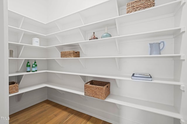 121 Hardy Oaks Way, Holly Springs, NC 27540 - view of pantry