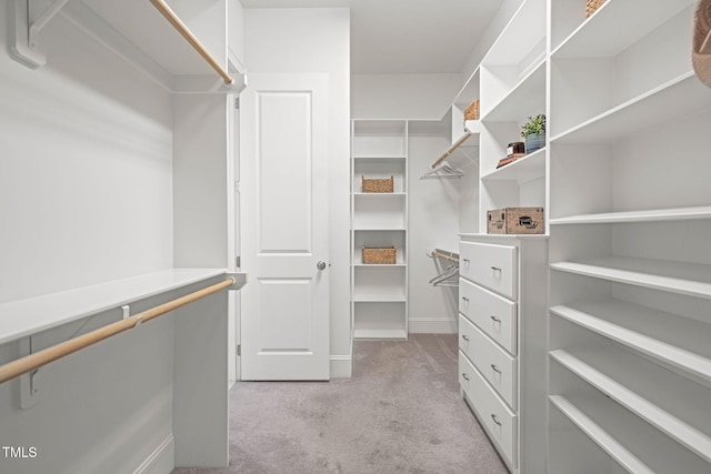 121 Hardy Oaks Way, Holly Springs, NC 27540 - walk in closet featuring light carpet