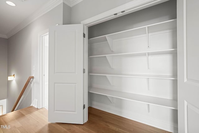 121 Hardy Oaks Way, Holly Springs, NC 27540 - view of closet