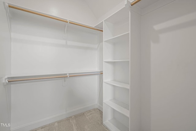 121 Hardy Oaks Way, Holly Springs, NC 27540 - walk in closet with carpet flooring