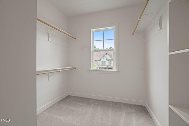 121 Hardy Oaks Way, Holly Springs, NC 27540 - spacious closet featuring carpet flooring