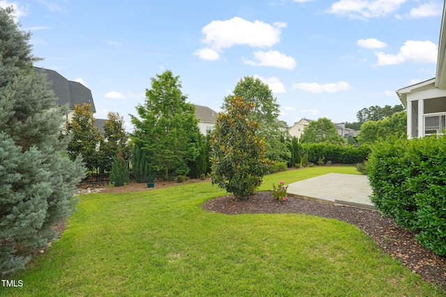 121 Hardy Oaks Way, Holly Springs, NC 27540 - view of green lawn featuring a patio area