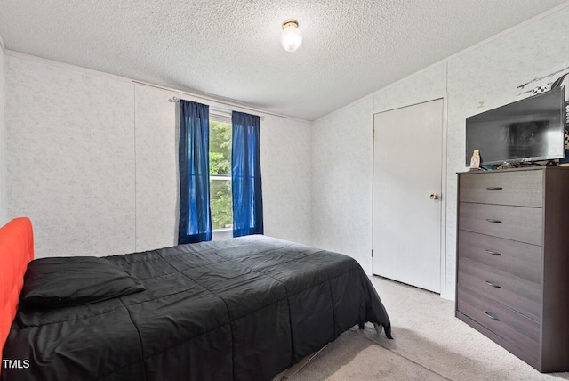 558 Christys Way, Roxboro, NC 27574 - carpeted bedroom featuring lofted ceiling and a textured ceiling