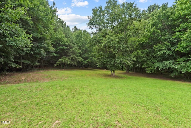 558 Christys Way, Roxboro, NC 27574 - view of grassy yard with a forest view