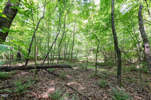 6910 Long Meadow Ln, Whitsett, NC 27377