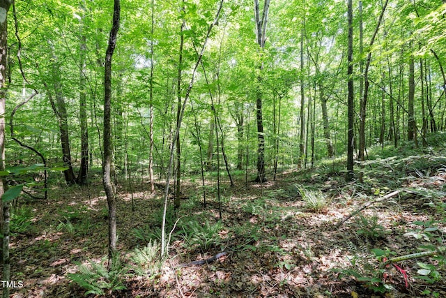 6910 Long Meadow Ln, Whitsett, NC 27377