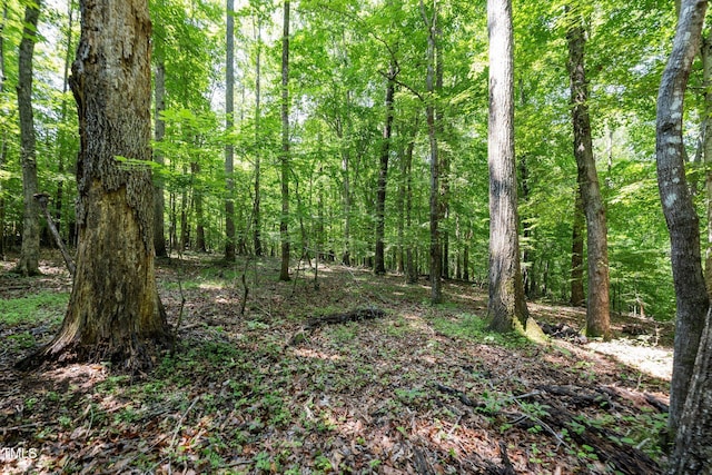 6910 Long Meadow Ln, Whitsett, NC 27377