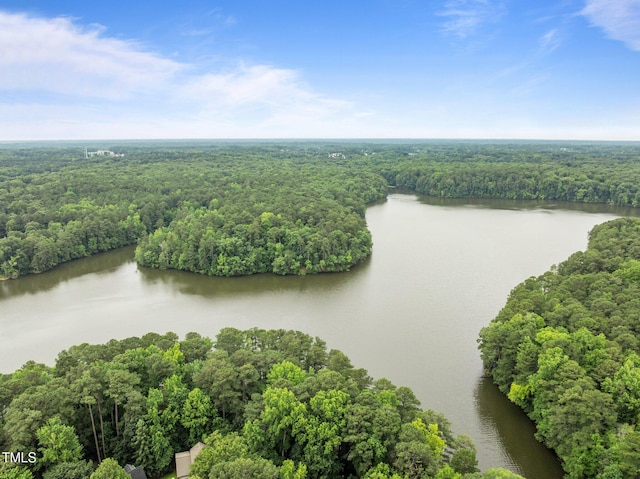 3516 Swift Dr, Raleigh, NC 27606 - bird's eye view of a heavily wooded area and a nearby body of water