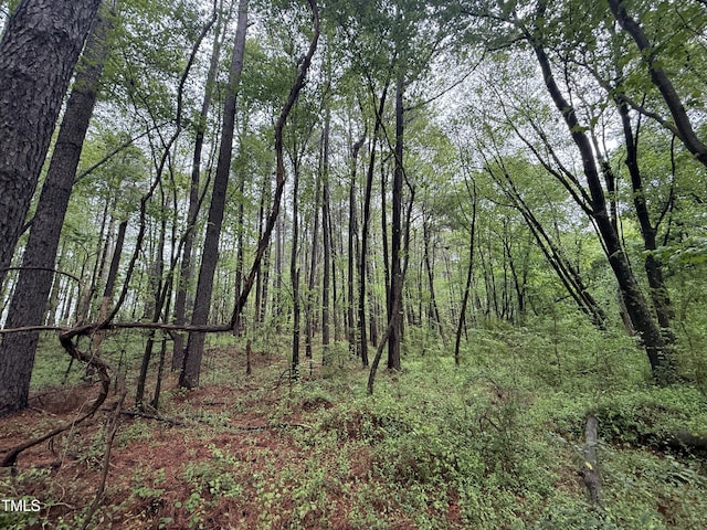 0 Poker Shake Ln, Louisburg, NC 27549 - photo 1