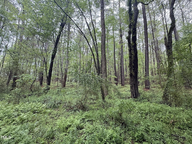 0 Poker Shake Ln, Louisburg, NC 27549 - photo 2