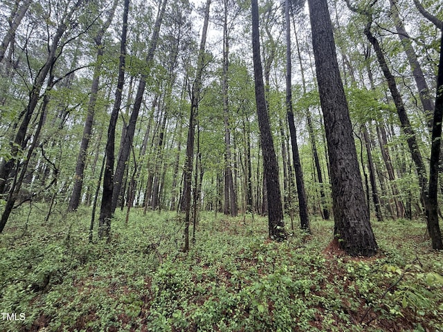 0 Poker Shake Ln, Louisburg, NC 27549 - photo 3