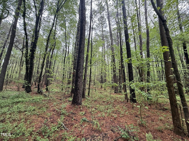 0 Poker Shake Ln, Louisburg, NC 27549 - photo 4