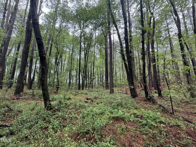 0 Poker Shake Ln, Louisburg, NC 27549 - photo 5
