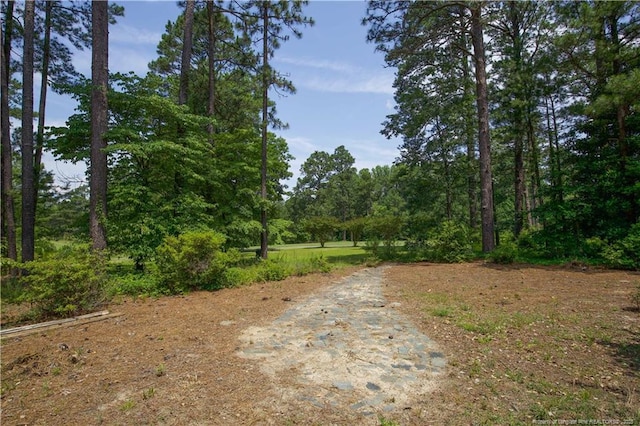38 Windsong Pl, Whispering Pines, NC 28327 - view of road featuring a wooded view