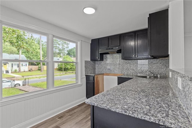 123 John St, Fayetteville, NC 28305 - kitchen with under cabinet range hood, light wood finished floors, light stone countertops, decorative backsplash, and dark cabinets