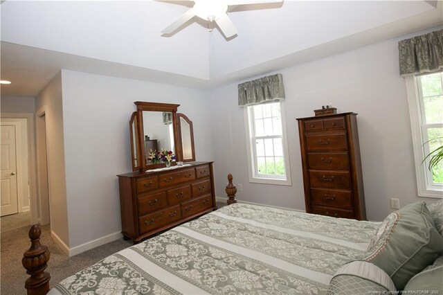 957 Blackeyed Susan Pl, Vass, NC 28394 - bedroom with carpet floors and ceiling fan