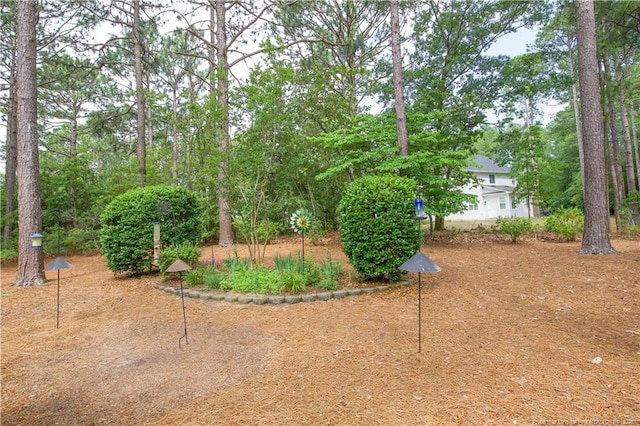 957 Blackeyed Susan Pl, Vass, NC 28394 - view of yard