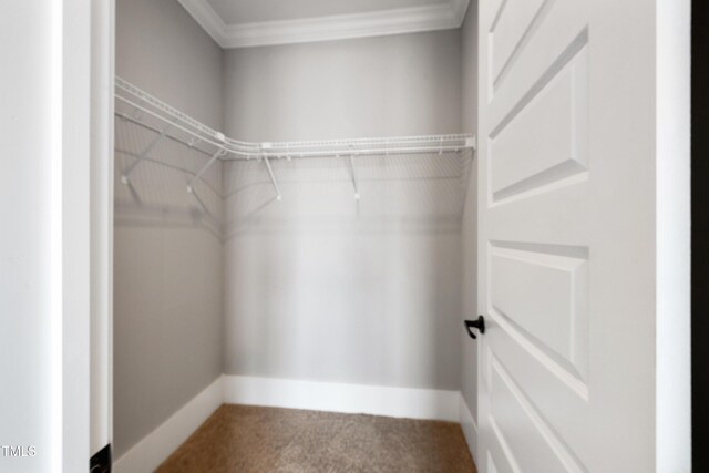 8809 Snow Camp Rd, Snow Camp, NC 27349 - photo 17