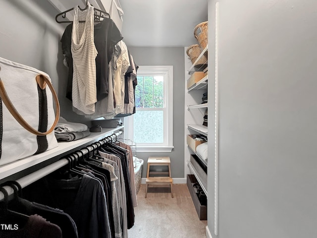7917 Featherstone Dr, Raleigh, NC 27615 - walk in closet featuring light carpet