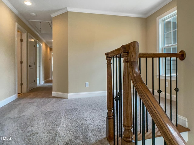 1201 Dagmar Ln, Wake Forest, NC 27587 - stairs with attic access, crown molding, and carpet floors